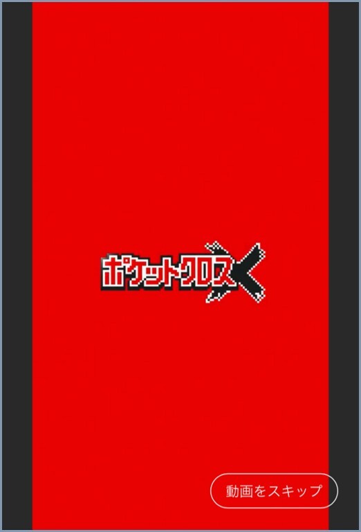 赤画面 ポケットクロス
