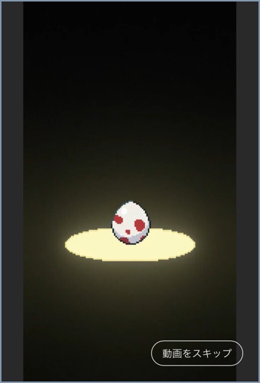 赤卵  ポケットクロス