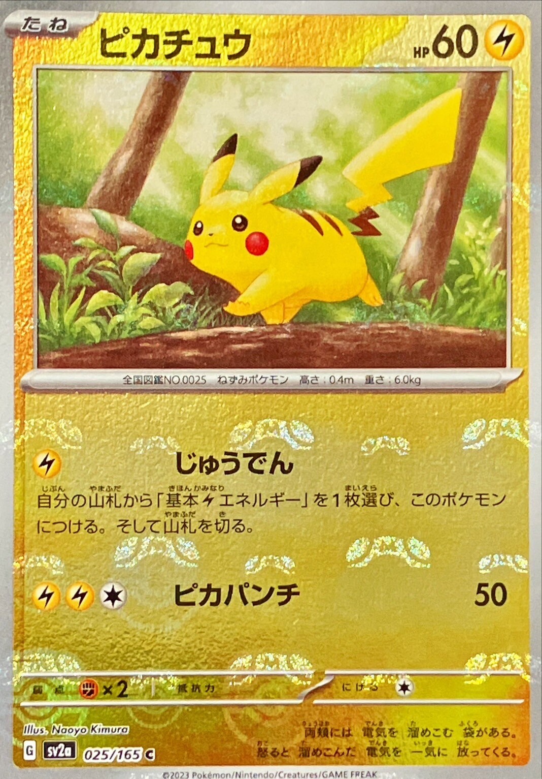 ピカチュウマスターボールミラー